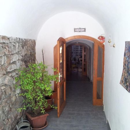 Pension Siesta Třeboň Esterno foto