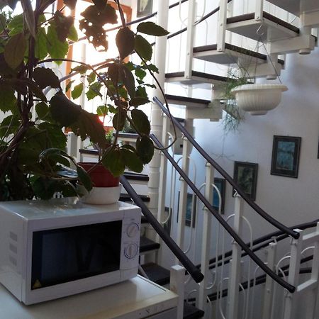Pension Siesta Třeboň Esterno foto